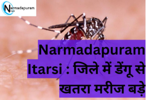 https://narmadapuramnews.in/narmadapuram-ita…atients-increase/ ‎Edit