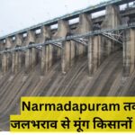 Narmadapuram तवा बांध जलभराव से मूंग किसानों को राहत